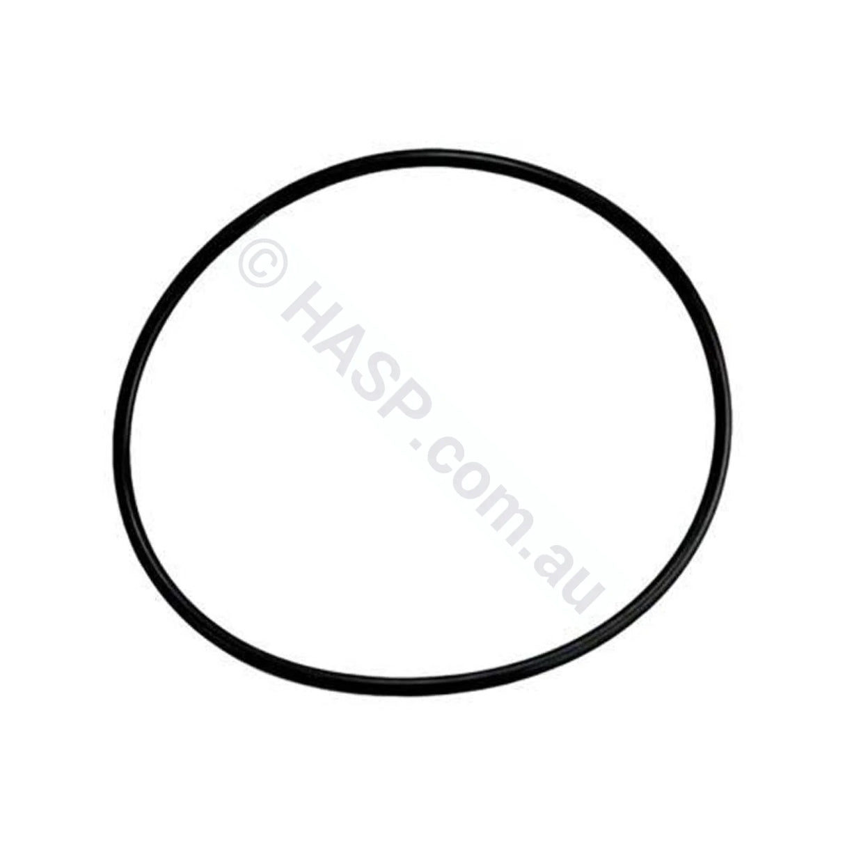 Aqua-Flo Circmaster 1/15th HP Body Casing O-Ring Seal CMCP CMHP FMHP CMCP CMXP - Pump Parts