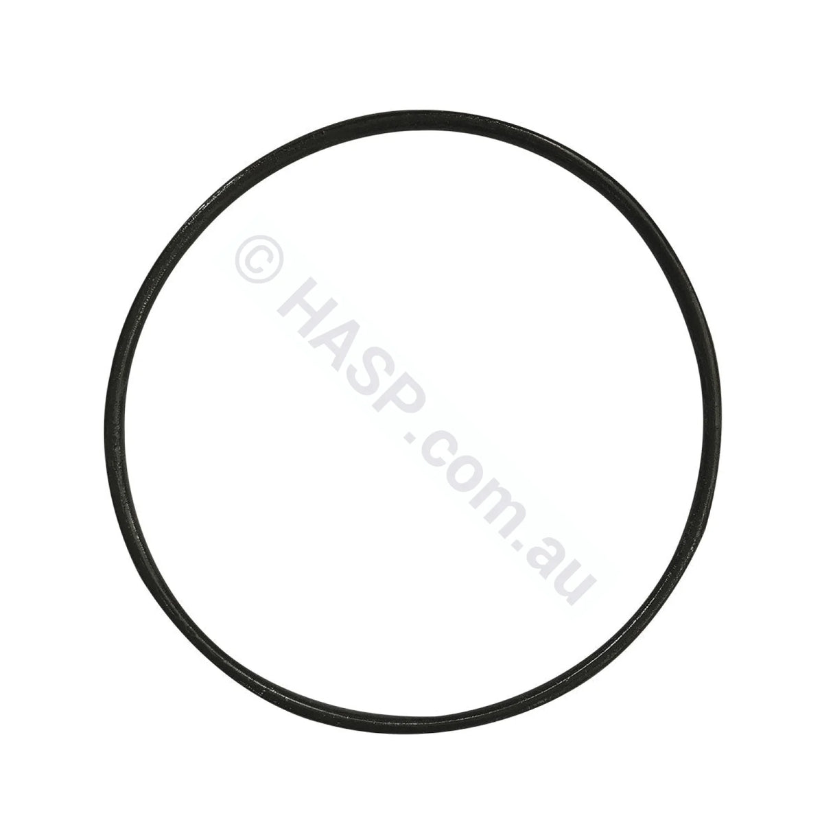 Astralpool Bx / P300 P600 Lid O-Ring Seal