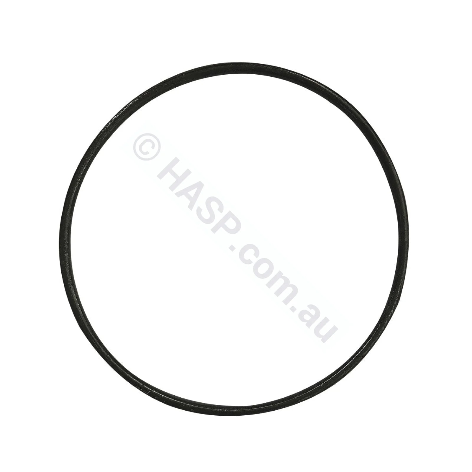 Astralpool Bx / P300 P600 Lid O-Ring Seal