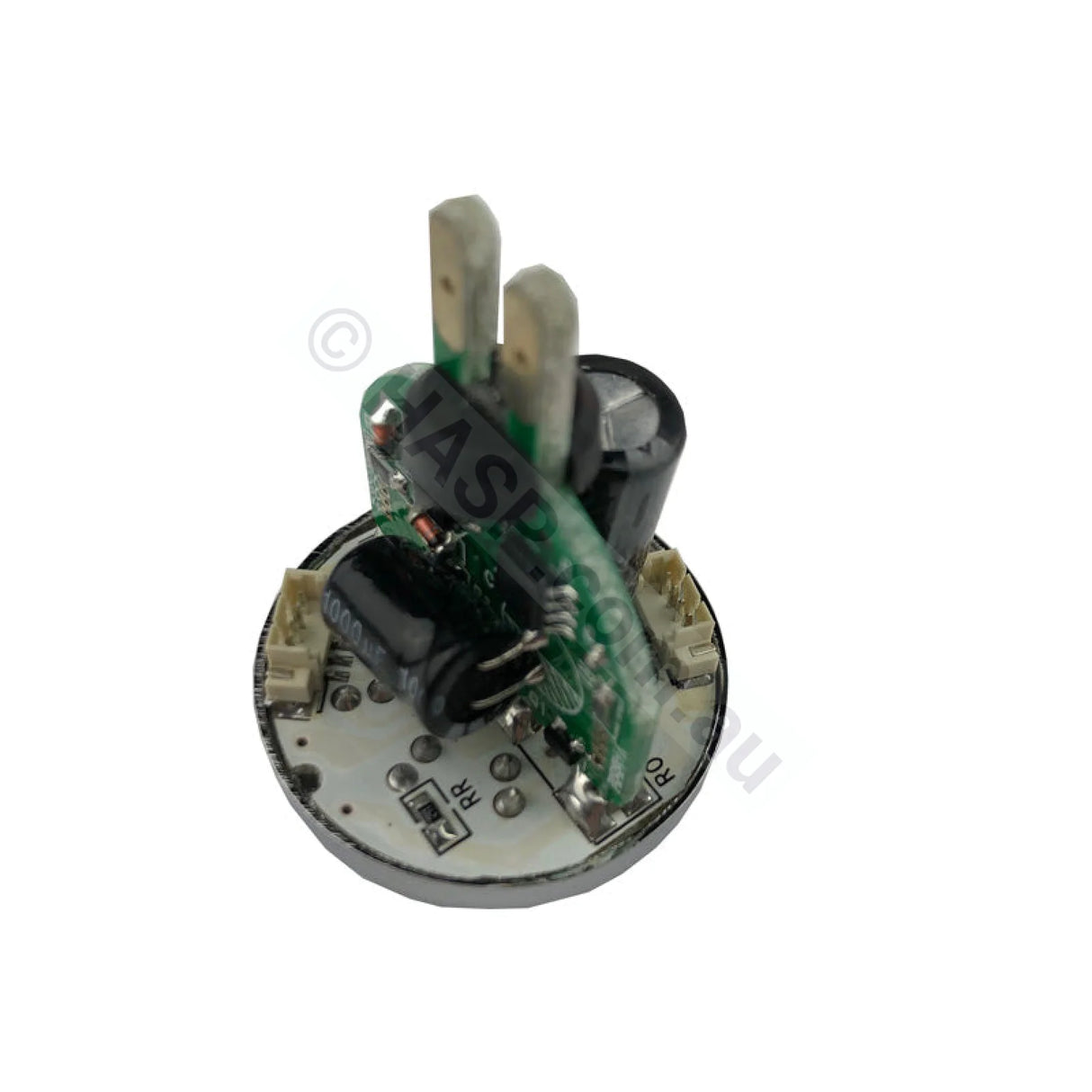 Balboa 10LED Globe Light