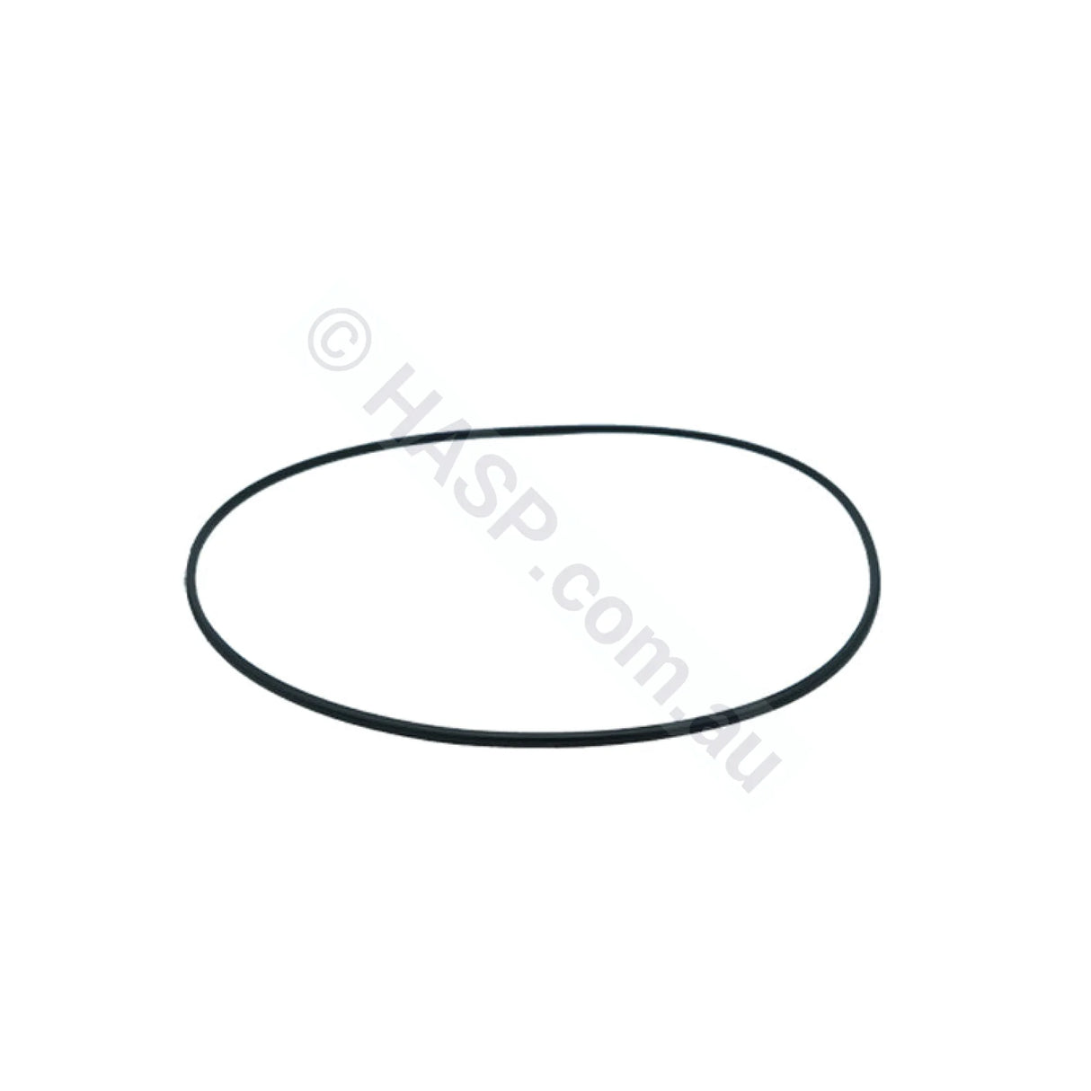 Balboa / Onga Bath Pump Body Casing O-ring Gasket Seal
