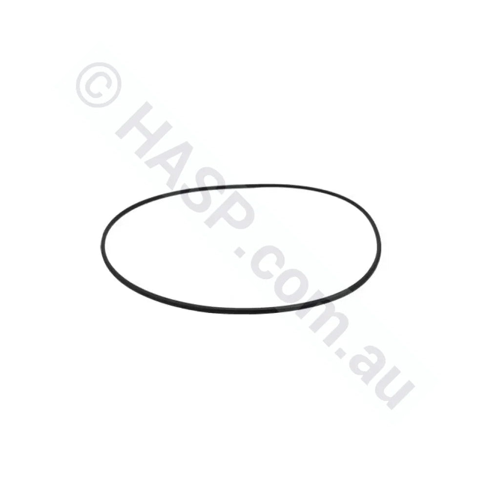 Balboa / Onga Bath Pump Body Casing O-ring Gasket Seal