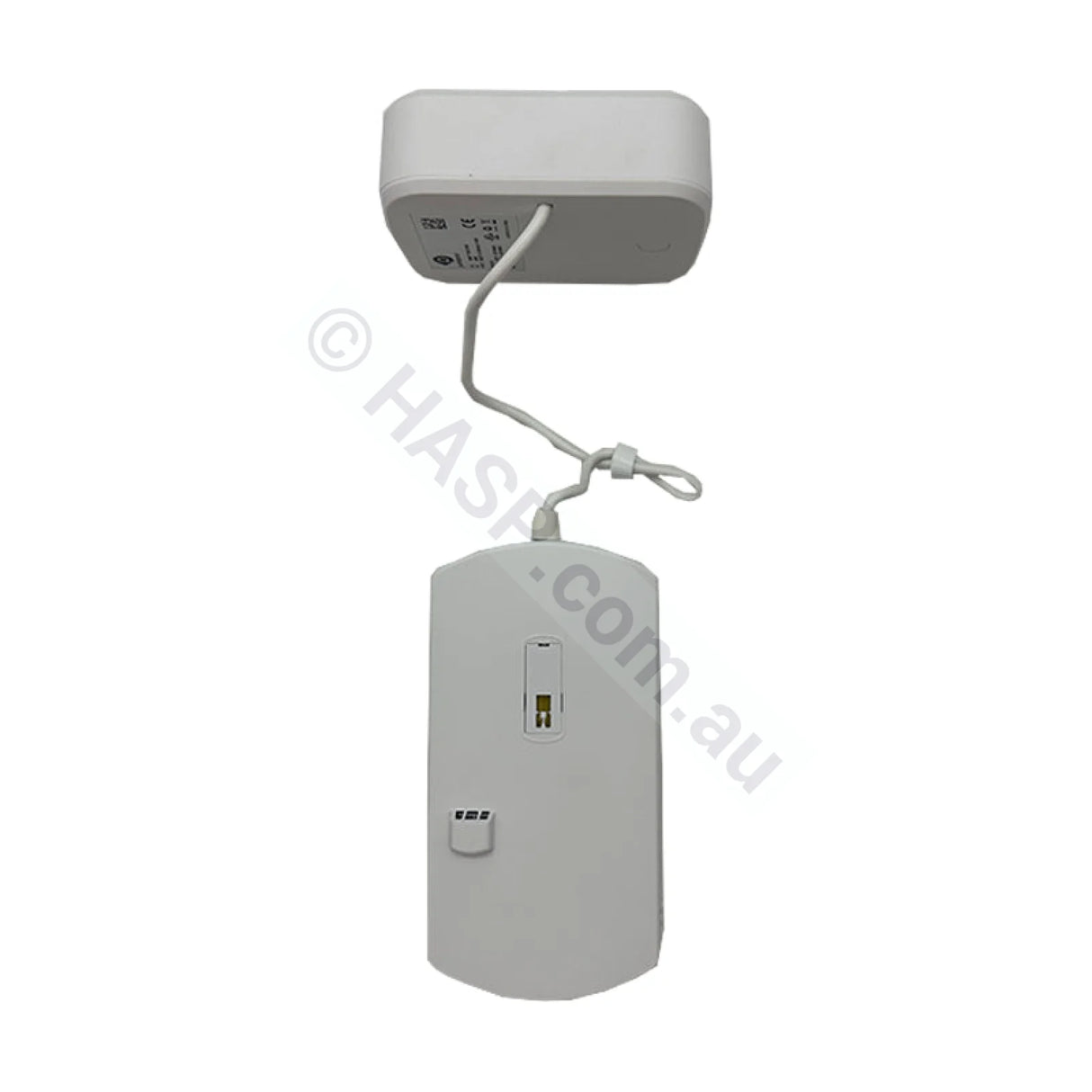Balboa Purezone Hover Floating Water Monitoring System