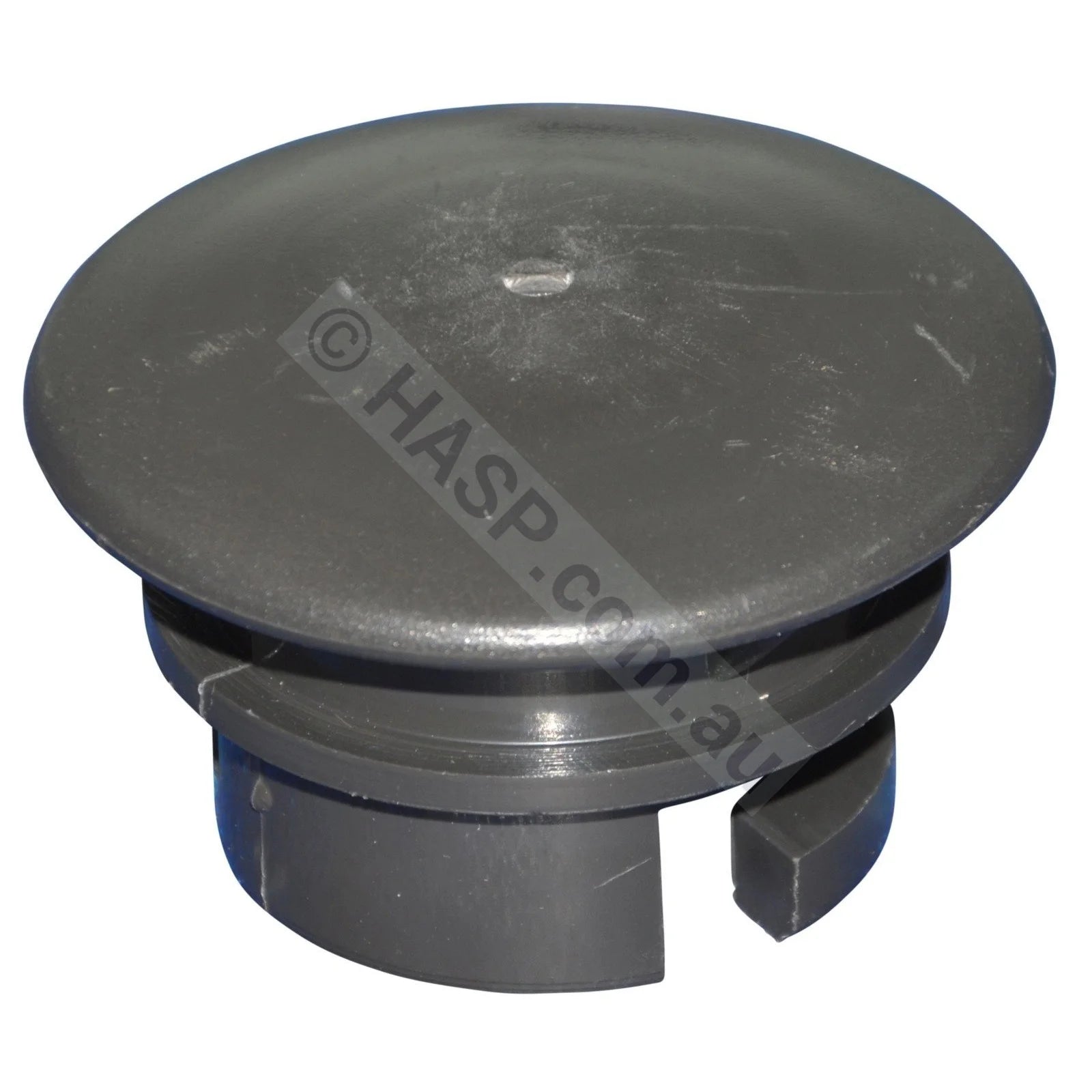 Bullfrog Spas / Signature Spas Spa Filter Cap Plug Platinum - Nature 2 - Heater and Spa Parts