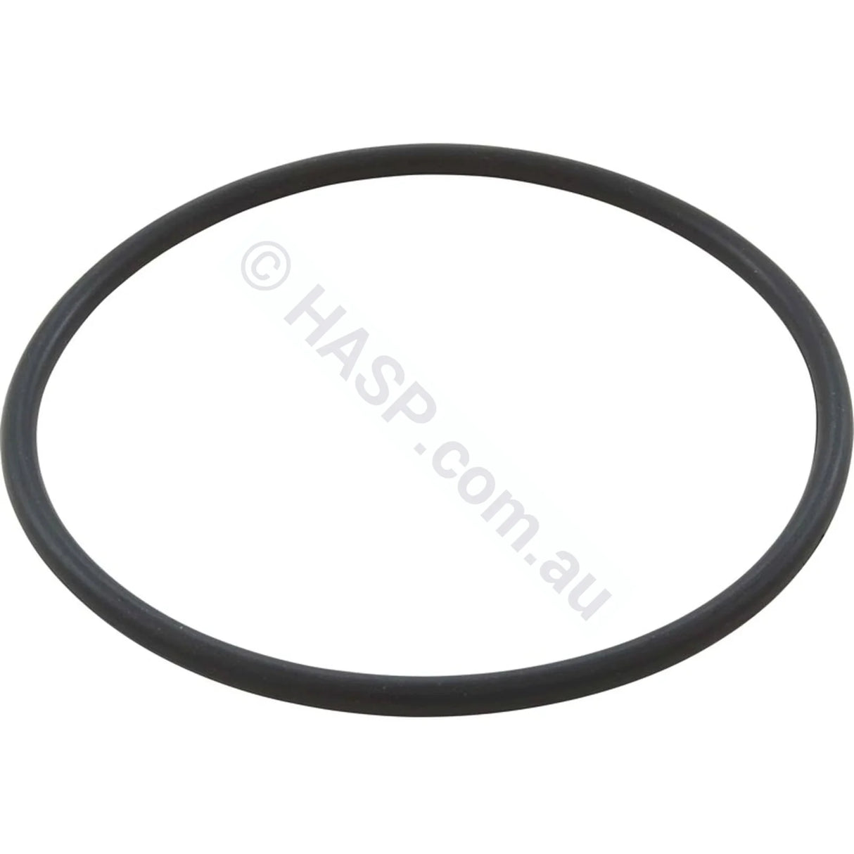 Davey Spaquip Crystal Clear Cartridge Filter - Lid O-Ring