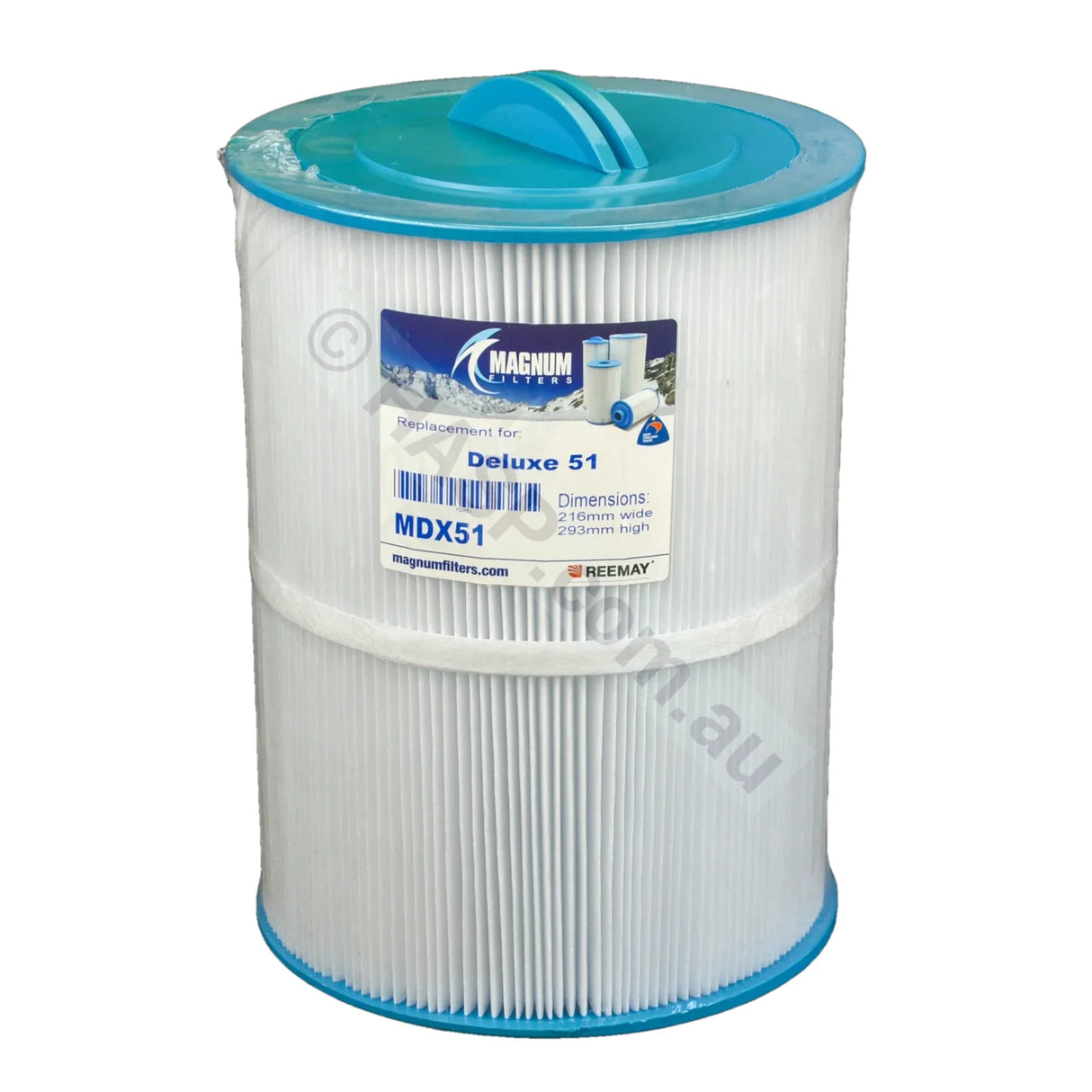 Deluxe Spas Sl / Sm Series 50 Sqft Filter Cartridge - Female Thread Cartridge Filters