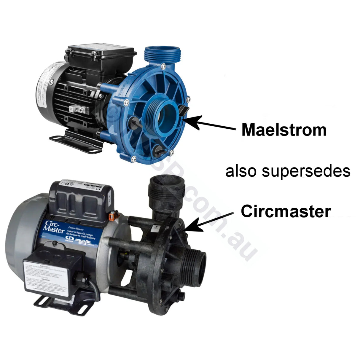 Gecko Maelstrom CMS-1 Circulation Pump 0.25hp /.12hp - Circmaster Replacement
