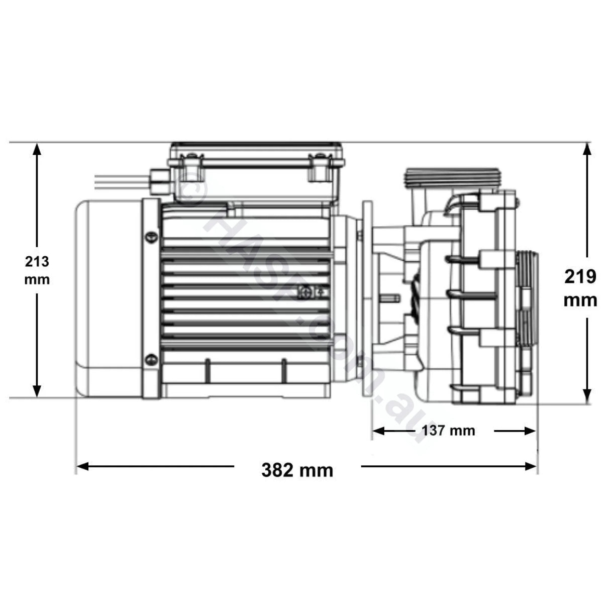 Gecko Maelstrom Ms-1 3.0Hp/4.2Hp Single-Speed Pump