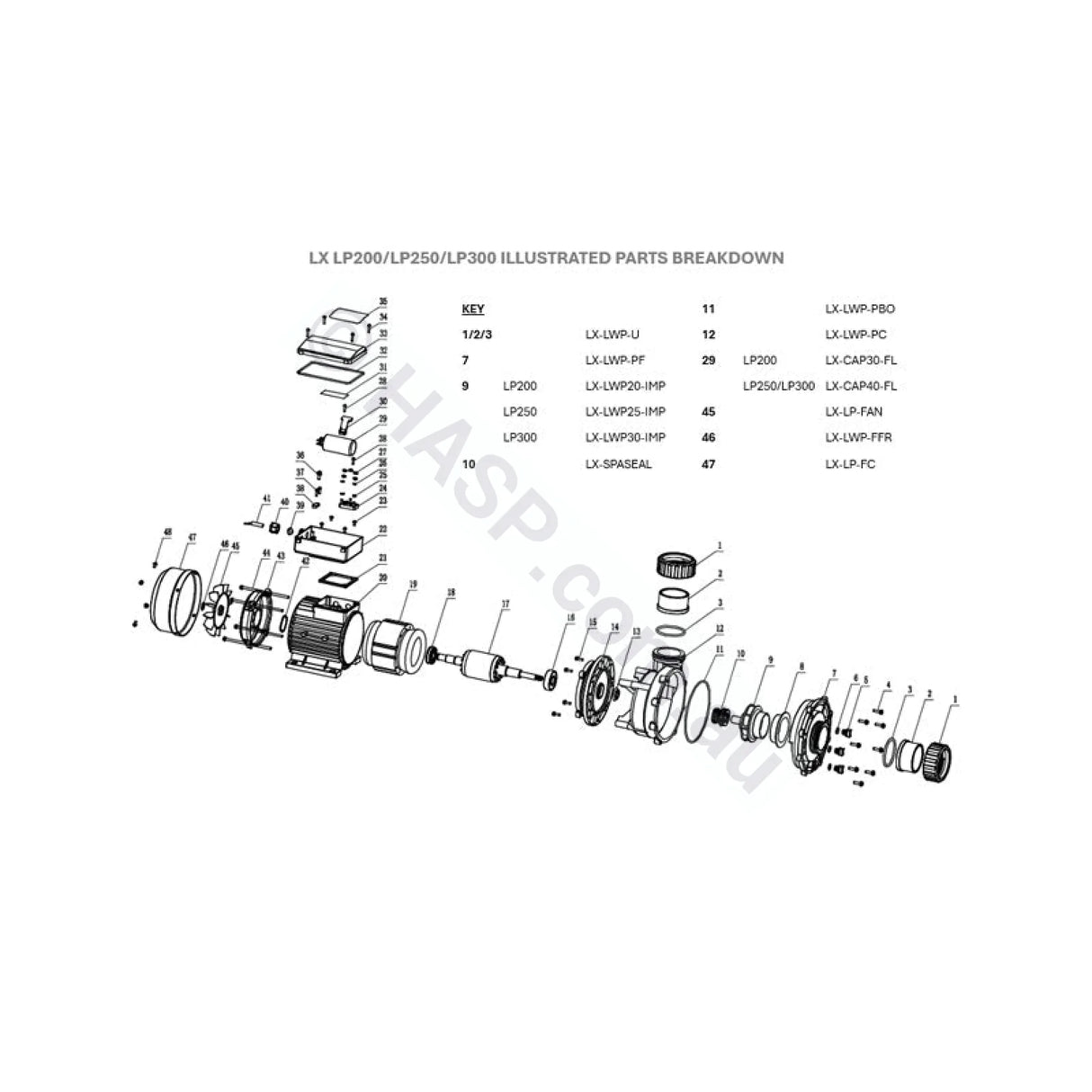 LX Pro Series LP200 2hp Single Speed Pump