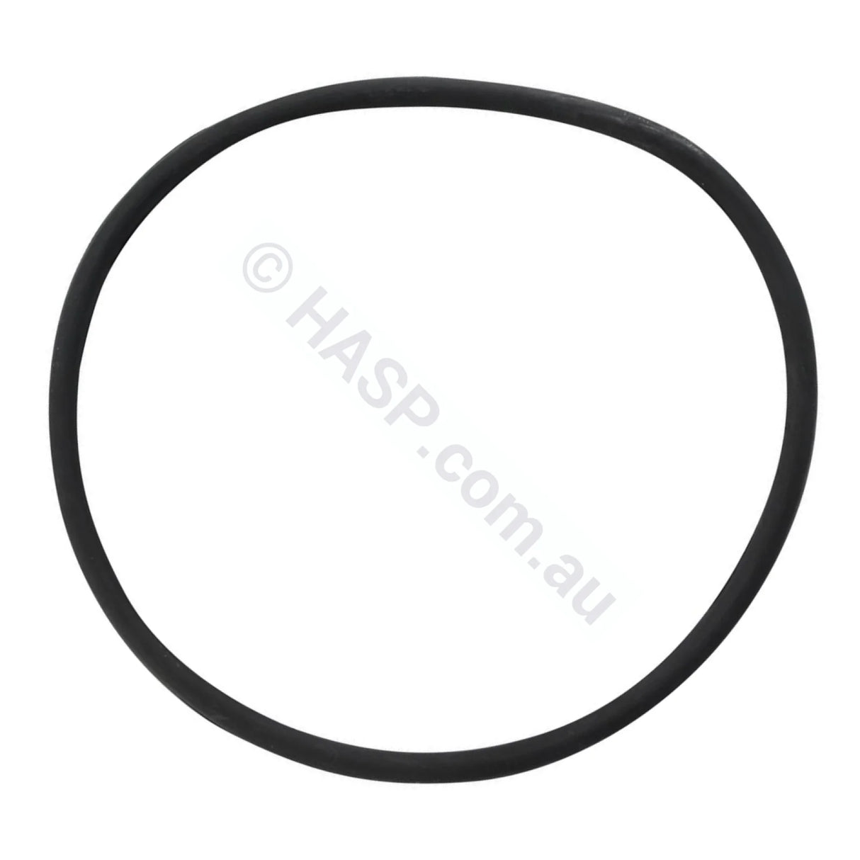 Dega / Quiptron / Onga Filter Lid O-Ring Gasket - Heater and Spa Parts