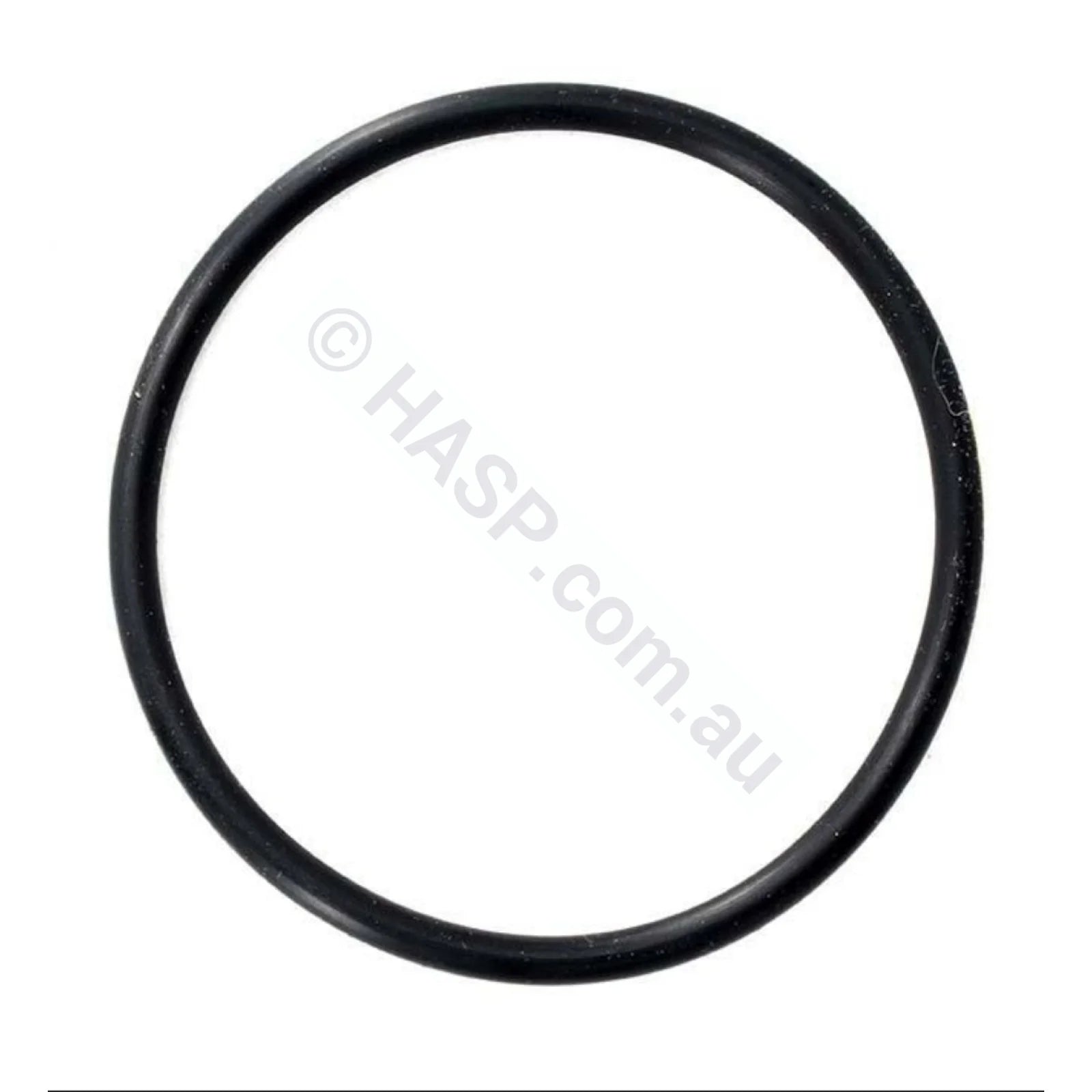 Astralpool Chlorinator Chlorinator O-Ring - 65mm tails - Heater and Spa Parts