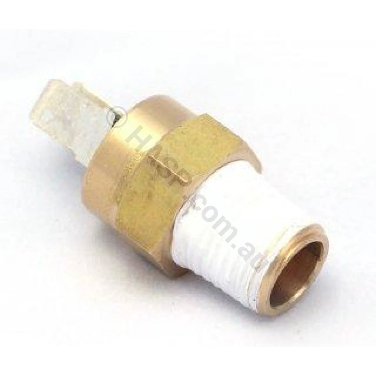 Pentair Mastertemp / Waterco Turbotemp 1/8" 45° AGS Sensor - Heater and Spa Parts