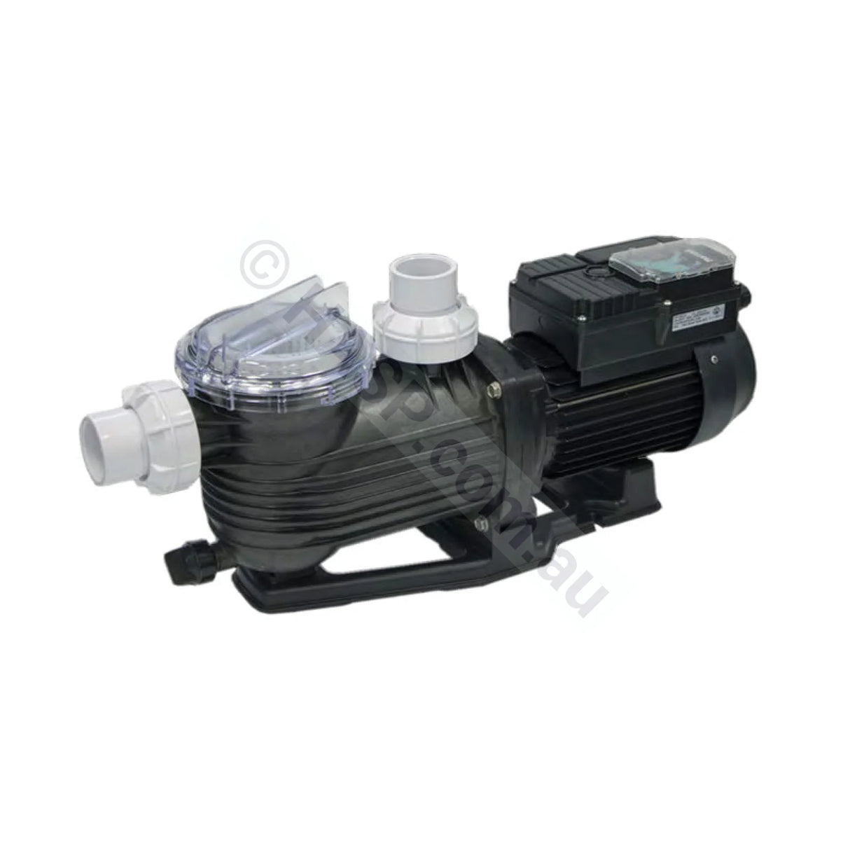 Pentair Pantera Evolution 950W 2 Speed Pool Pump