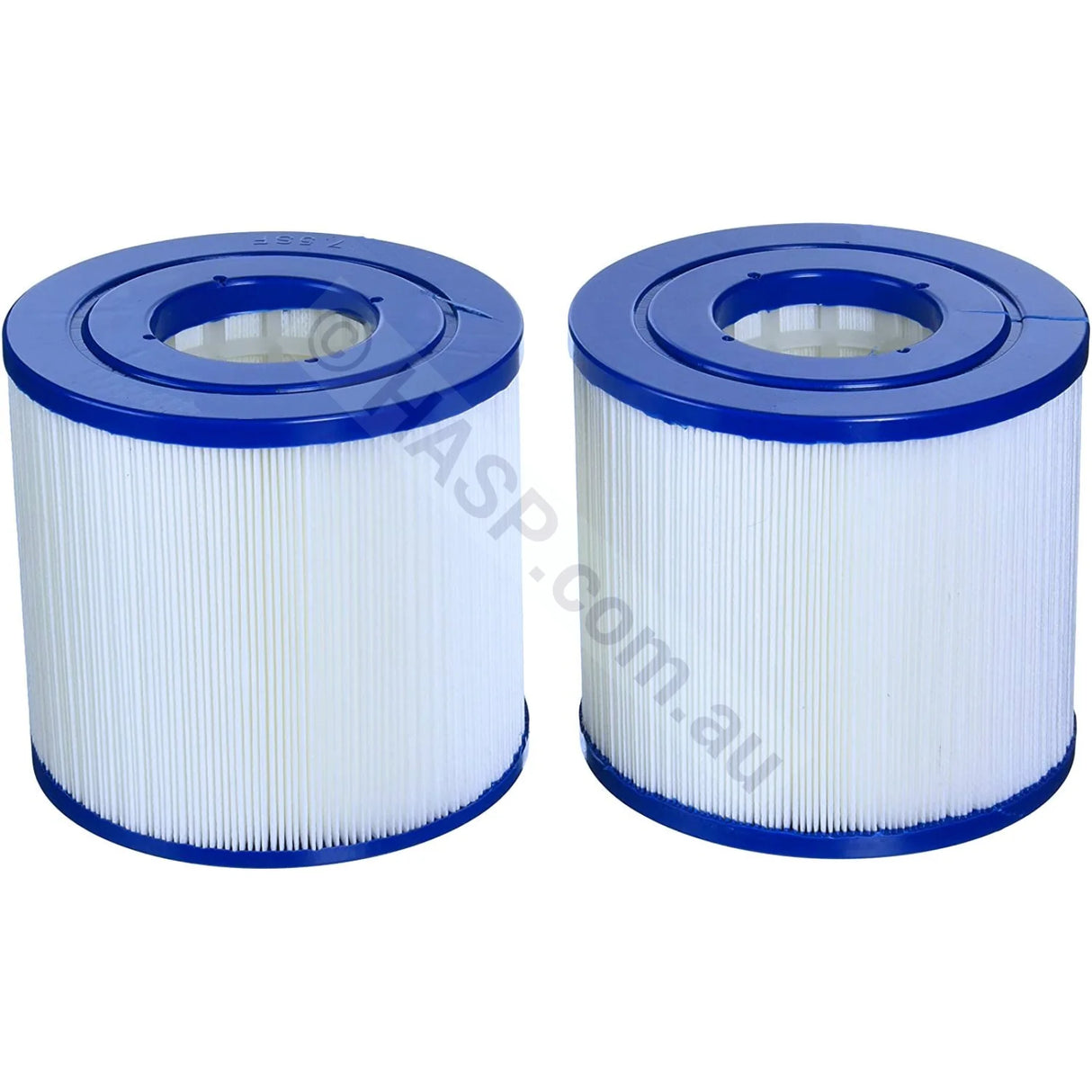 117mm x 126mm Waterway Rainbow Cartridge Filter DSF35 817-3510 - Pair - Heater and Spa Parts