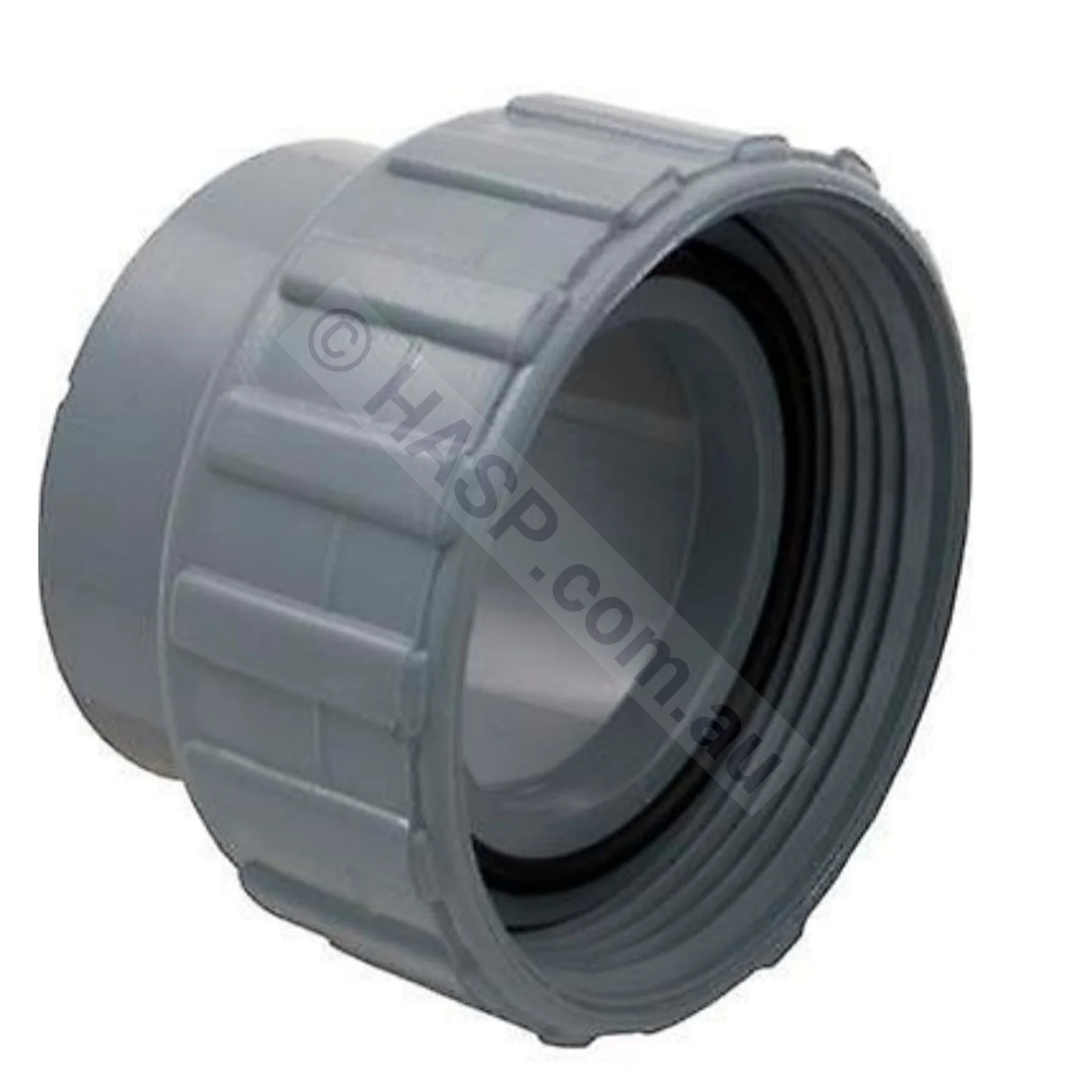 Raypak Heater Barrel Unions - Pipe Connectors - Heater and Spa Parts