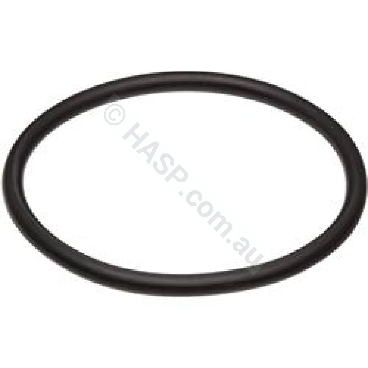 Raypak Heater Barrel Union - O-ring - Heater and Spa Parts