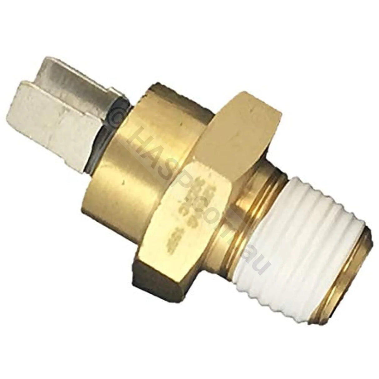 Raypak High Limit Switch - Heater and Spa Parts