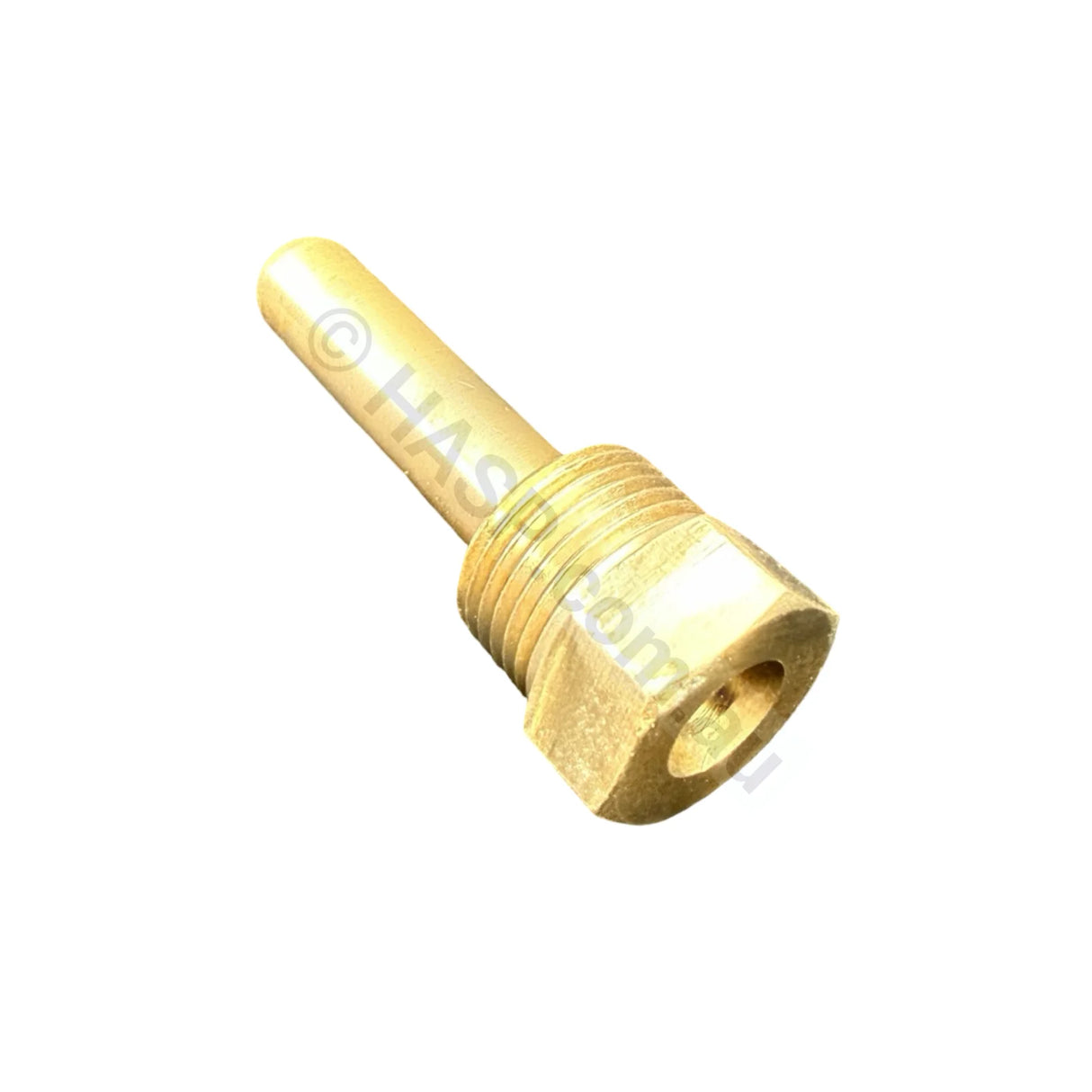 Raypak Temp Sensor Brass Well - Old Style - 12mm aka 3/8’’ BSP Thread