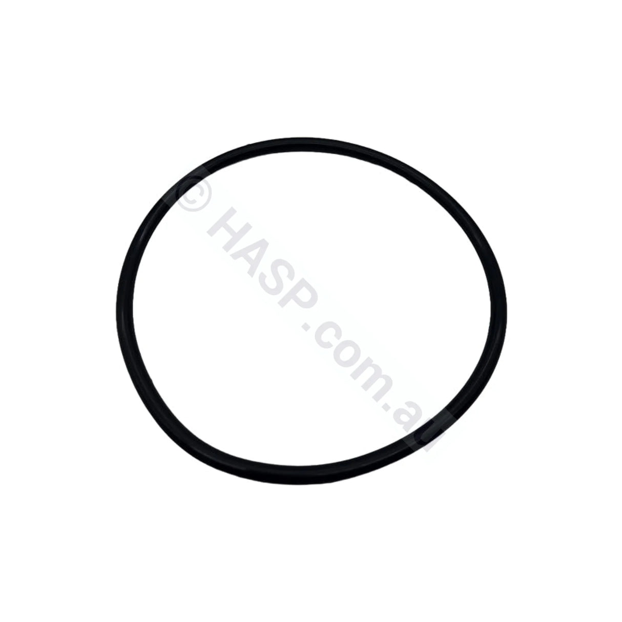SENSAPOOL SF Pump Body O’ring