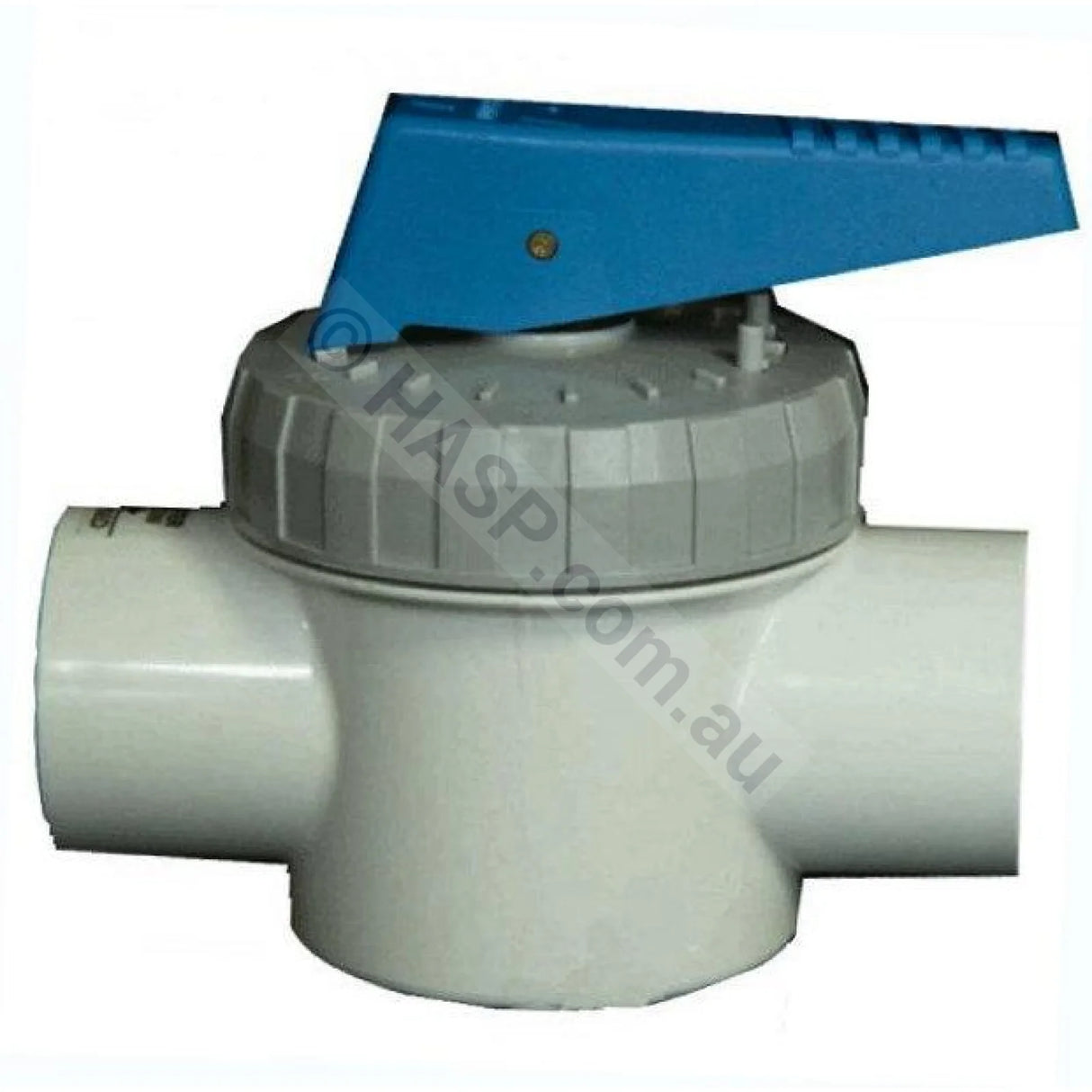 Davey Spaquip Teflon Valve - 50Mm 2-Way