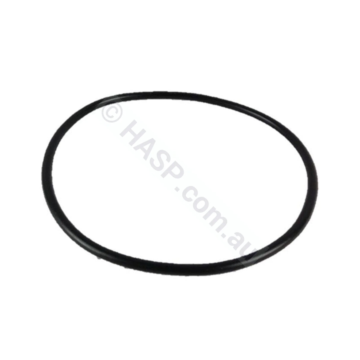 Waterco Filter Lid O’ring