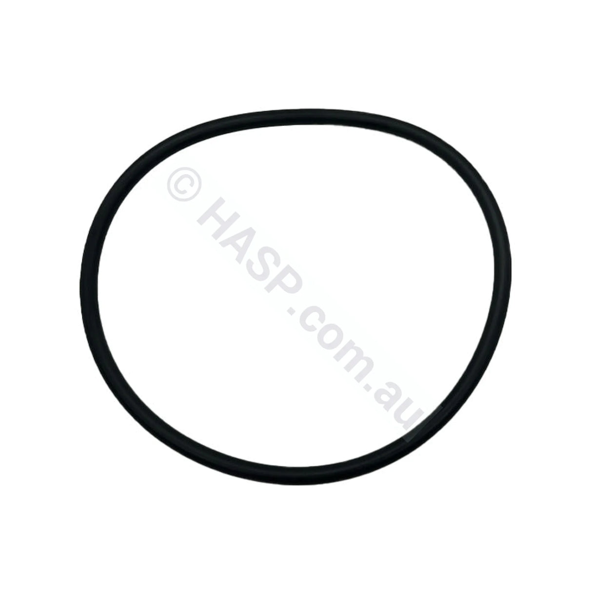 Waterco Hydrostorm Eco Pump Lid O’ring