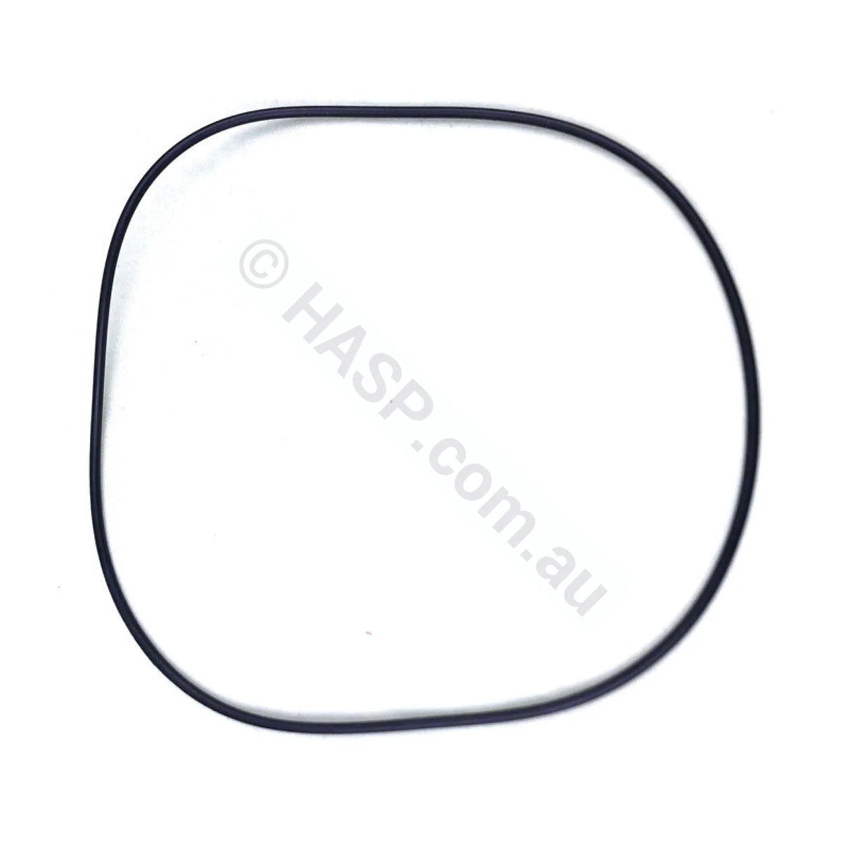 Waterco Portapac Body O’ring