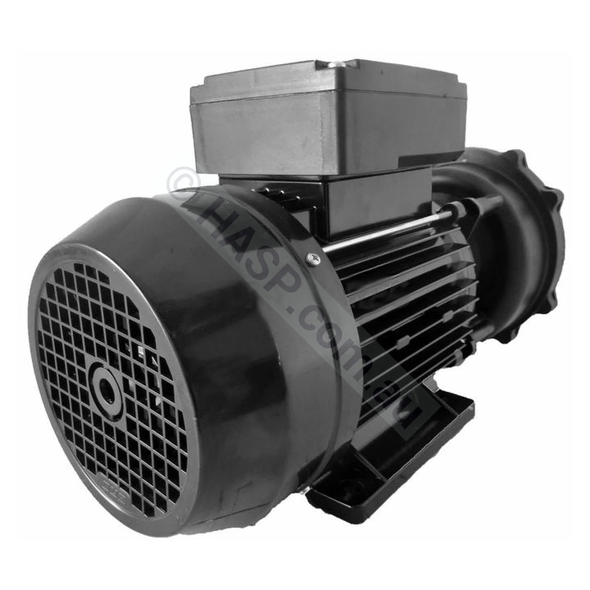 Waterway Executive Pumps - Various Models - Heater and Spa Parts