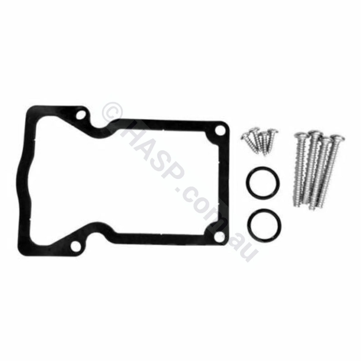 Zodiac Jandy Valve Actuator Gasket & Screw Set Plumbing Fittings