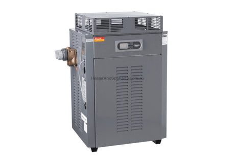 Raypak 280 Premium Gas Pool & Spa Heater - Commercial Pool Heaters - Heater and Spa Parts