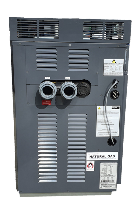 Raypak 430 Gas Pool & Spa Heater - Standard - Heater and Spa Parts