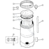 Davey CF / Monarch EcoPure Filter Lid Top - Heater and Spa Parts