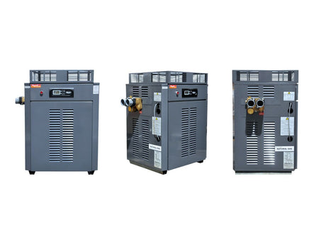 Raypak Premium 430 Gas Pool & Spa Heater - Commercial - Heater and Spa Parts
