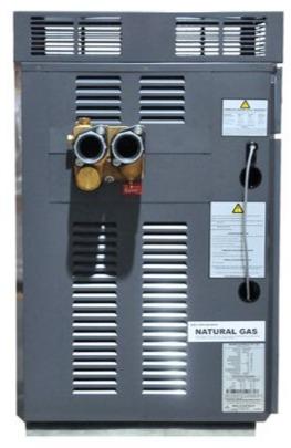Raypak Premium 430 Gas Pool & Spa Heater - Commercial - Heater and Spa Parts
