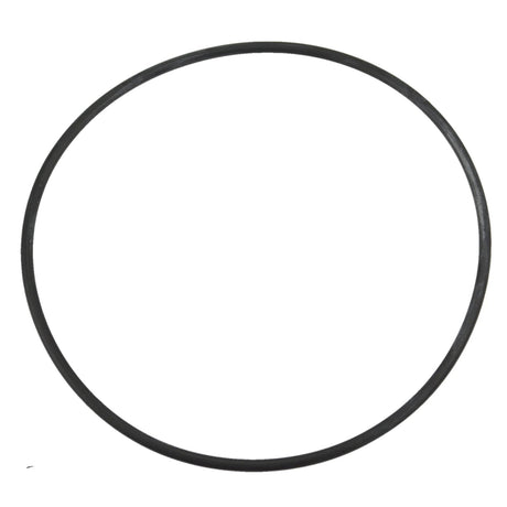 Aqua-Flo Circmaster 1/15th HP Body Casing O-Ring Seal CMCP CMHP FMHP CMCP CMXP - Heater and Spa Parts