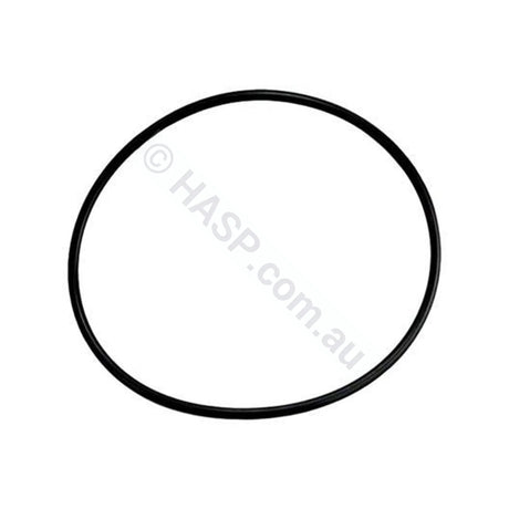 Aqua-Flo Circmaster 1/15th HP Body Casing O-Ring Seal CMCP CMHP FMHP CMCP CMXP - Pump Parts