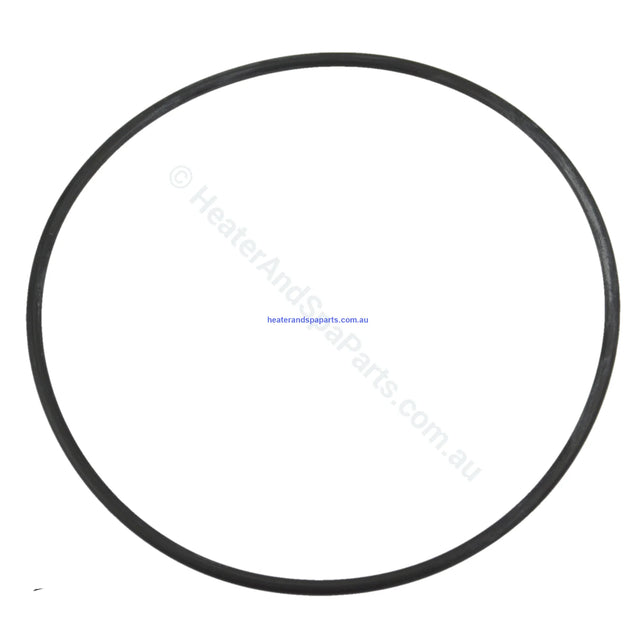 Aqua-Flo Circmaster 1/15th HP Body Casing O-Ring Seal CMCP CMHP FMHP CMCP CMXP - Heater and Spa Parts