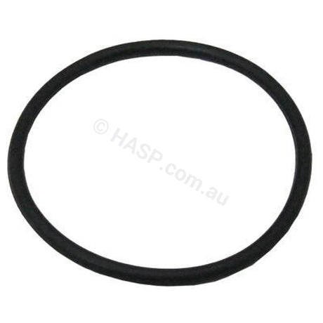 Aquaflo XP2 XP2E, Waterway Pump Union O-ring - Heater and Spa Parts
