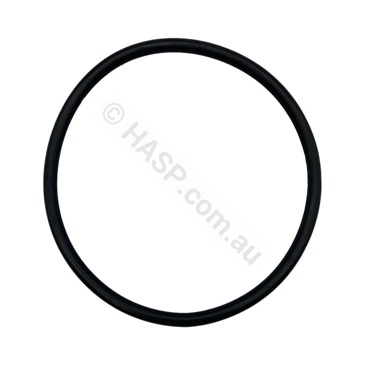 Astral/Hurlcon Pump Lid c/w O’ring