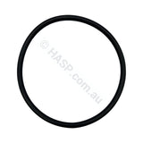 Astral/Hurlcon Pump Lid c/w O’ring