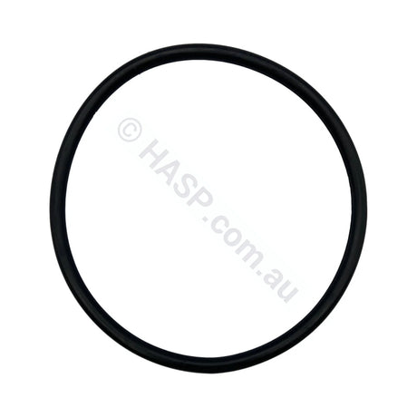 Astral/Hurlcon Pump Lid c/w O’ring