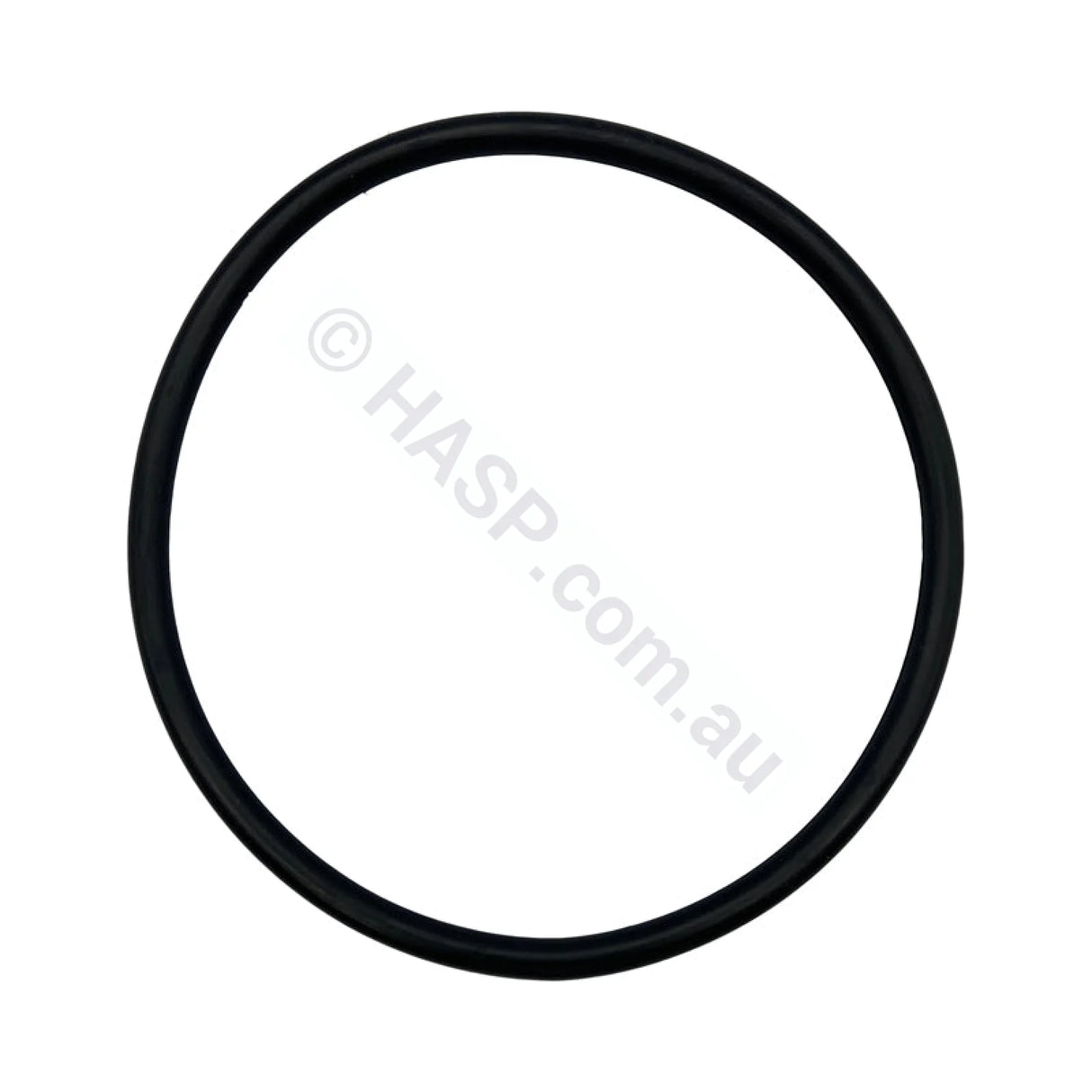 Astral/Hurlcon Pump Lid O’ring