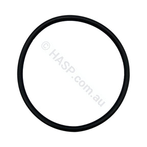 Astral/Hurlcon Pump Lid O’ring