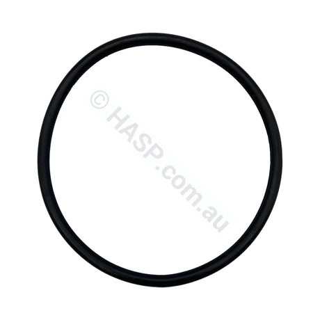 Astral/Hurlcon Pump Lid O’ring