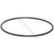 Astralpool Viron CL Filter Lid O-ring - Heater and Spa Parts