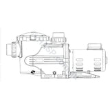 Astralpool Hurlcon BX High Performance Spa & Pool Pumps - GENUINE - Heater and Spa Parts