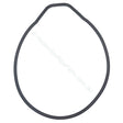 Astralpool Pump Body O-Ring / Gasket