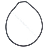 Astralpool Pump Body O-Ring / Gasket