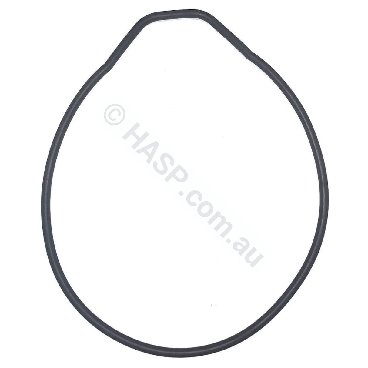 Astralpool Pump Body O-Ring / Gasket
