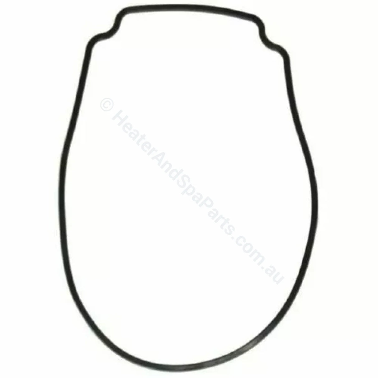 Astralpool Pump Body O-Ring / Gasket Pre 2019 Ctx | E Style Viron Xtpre Xt